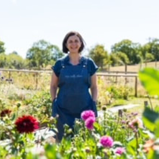 wye valley flowers 24 1 orig