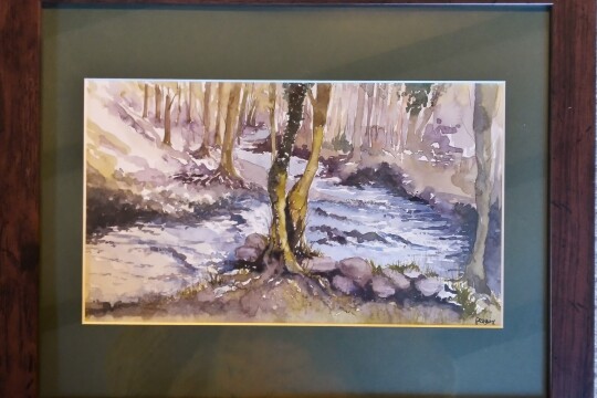 4 Stream near Blakeney, Forest of Dean