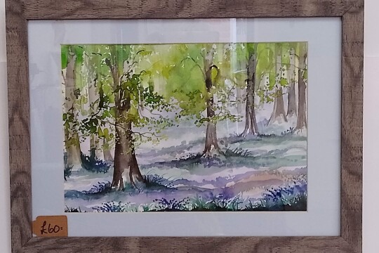 bluebells