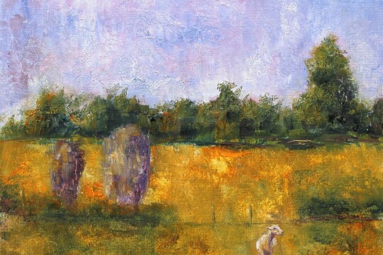 Sheep and Stones