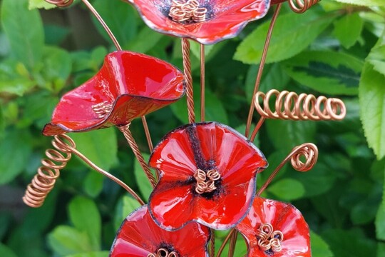 Red Posy