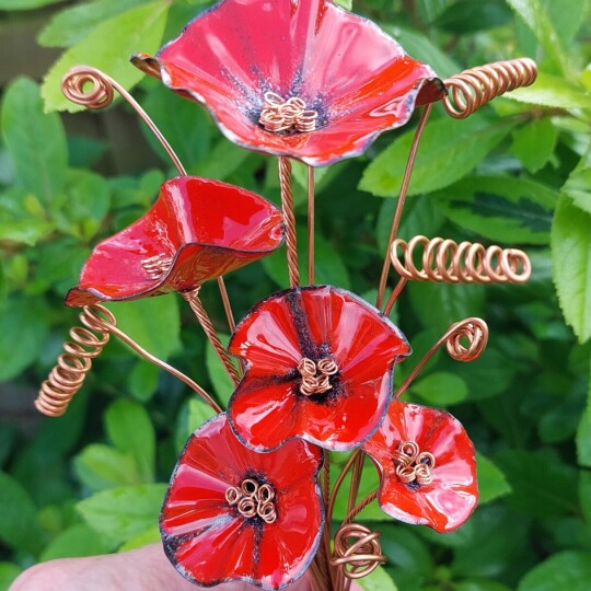 Red Posy