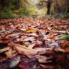 20211103 092016 01[1]