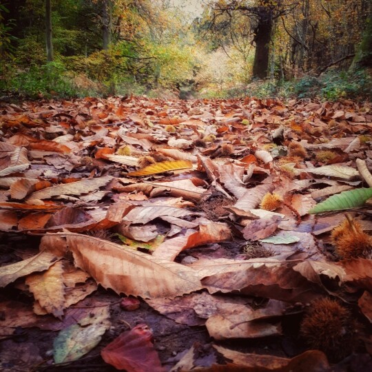 20211103 092016 01[1]