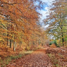 20251107 104210 a sm