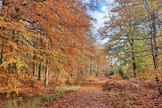 20251107 104210 a sm