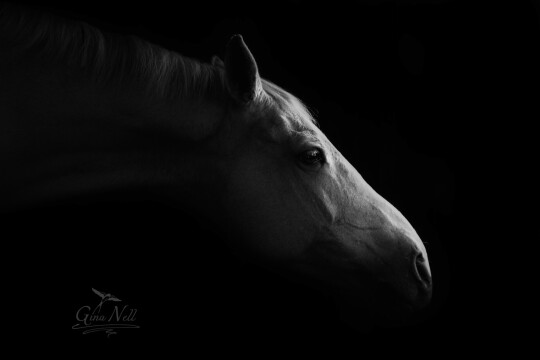 CB08Oct23 (156) HR B&W ws