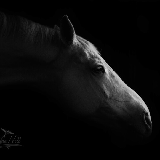 CB08Oct23 (156) HR B&W ws