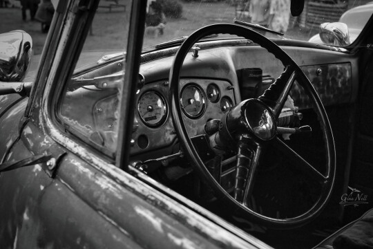 ginanelldsc03196 orig