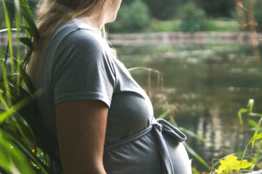 ginanelldsc06583 orig