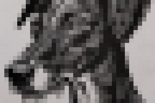 IMG 20250223 175135