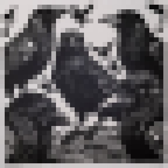 IMG 20250223 175552