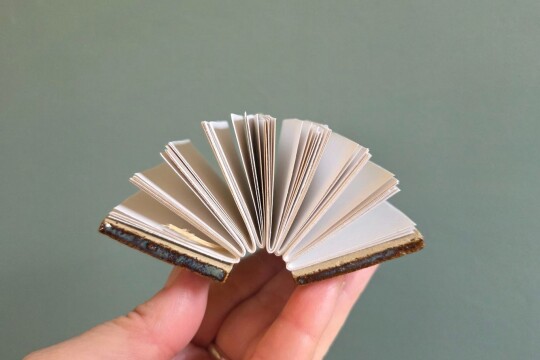 tiny book open