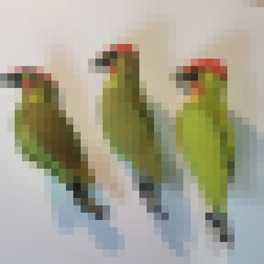IMG 20250121 124511