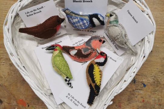 IMG 20260131 100510 edit 5284651270028497