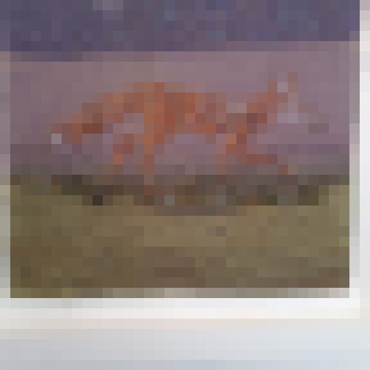 Screenshot 20240917 120909 com.facebook.katana
