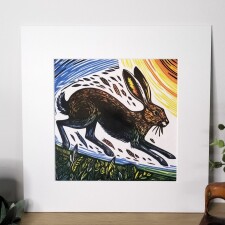 taraslater hare