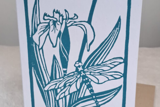 Iris and dragonfly