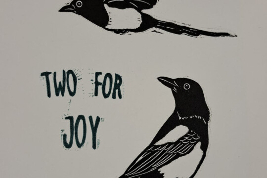 Magpies