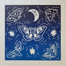 Moths
