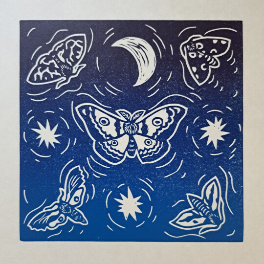 Moths