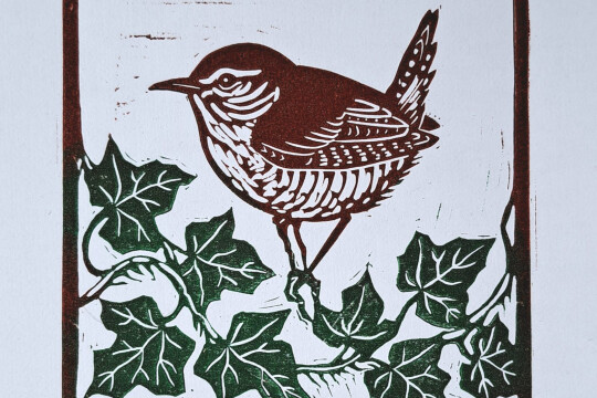 Wren