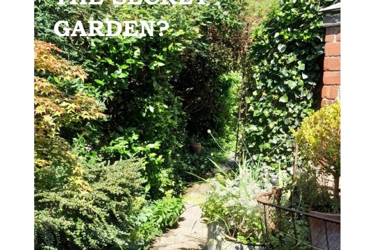 Secret garden 2 plus web