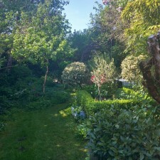 Secret garden 2026 02 05