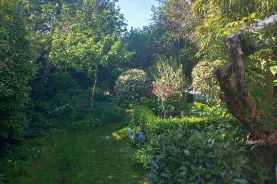 Secret garden 2026 02 05