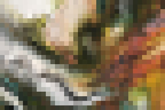 1000px1IMG 0271