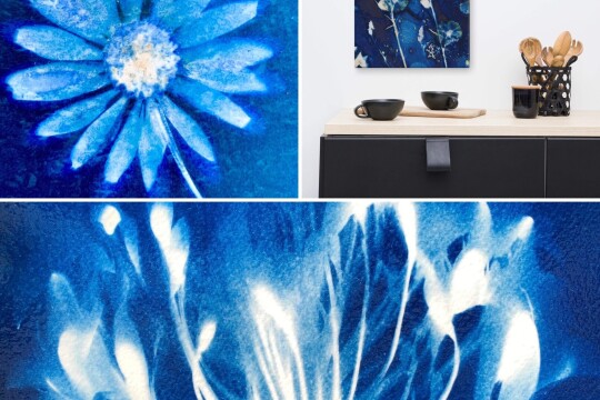 75B8422B 16D5 4606 9EAC 13E8FCE094A1