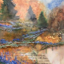 Through the Forest 9