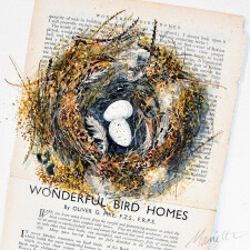 3 mariette the wonderful nest