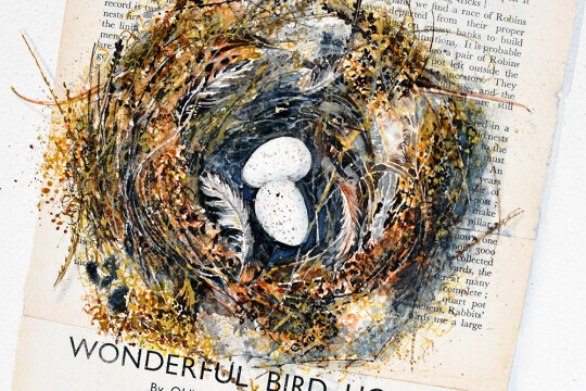 3 mariette the wonderful nest