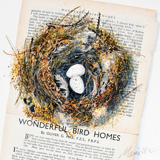 3 mariette the wonderful nest