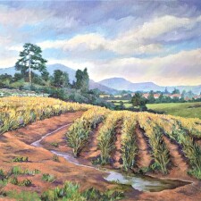 ASPARAGUS midsummer. Paint. Kathy Priddis jpg