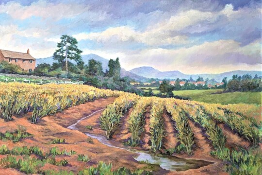 ASPARAGUS midsummer. Paint. Kathy Priddis jpg