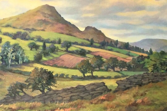 Foothills of Skirrid   oil on canvas. Kathy Priddis