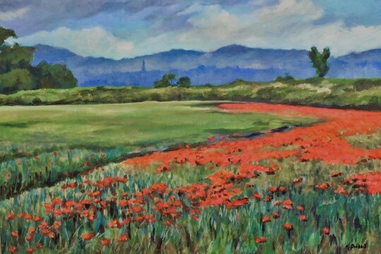 POPPY FIELD NEAR ROSS
