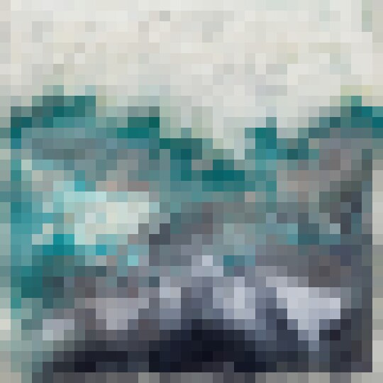 Surf CROP