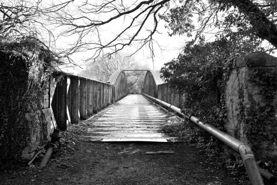 Jack Delahoy DoB bridge B&W