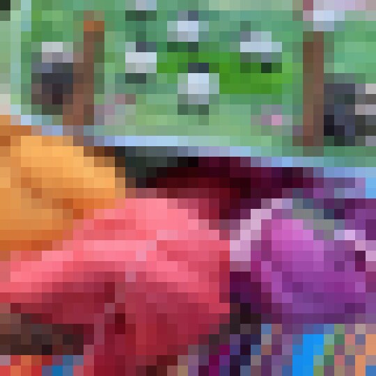 20250227 151328