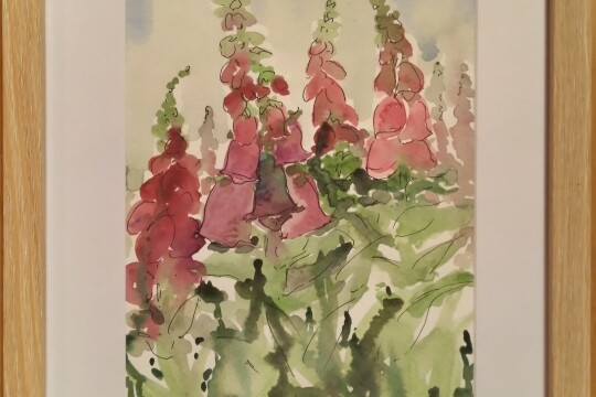 painting foxgloves