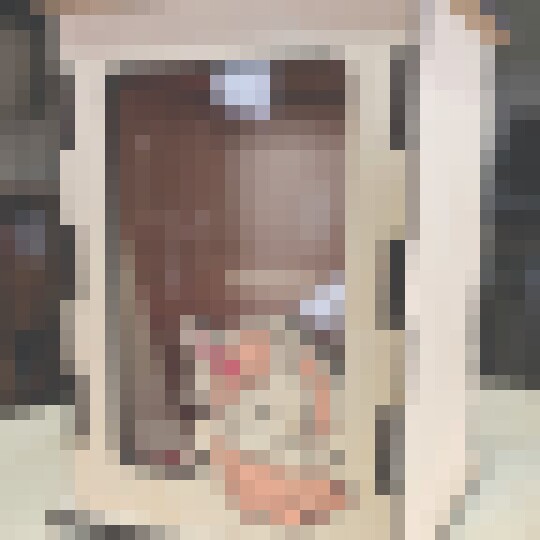 20240925 104157