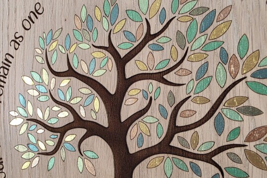 SUMMER FAMILY TREE 2