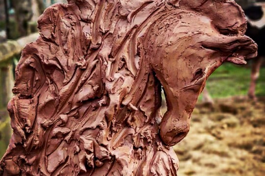 D49842FE DFB5 45C4 998E 74486DE3FD3A