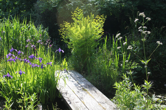 Jane Spray garden bridge over pond