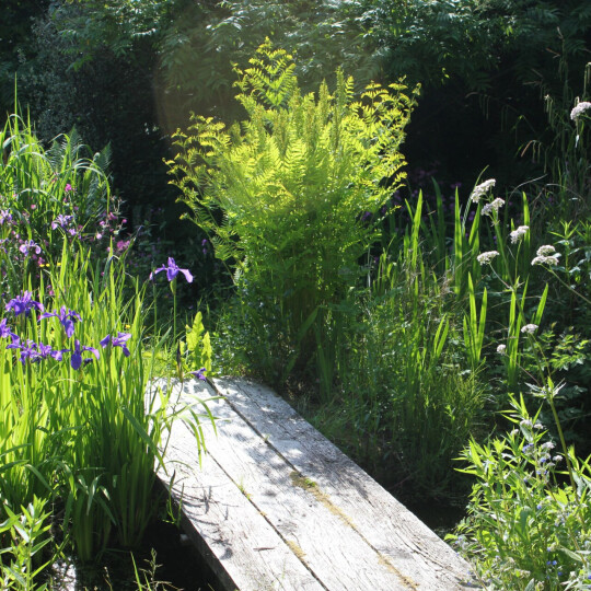 Jane Spray garden bridge over pond