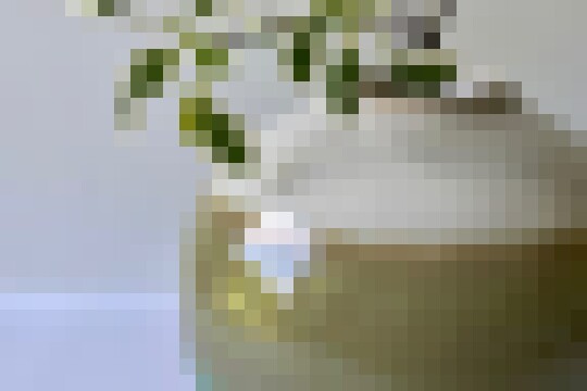 IMG 6356