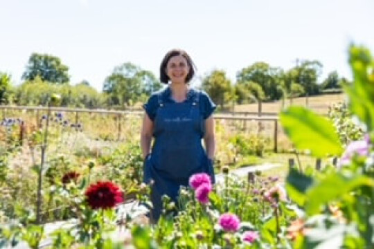 wye valley flowers 24 1 orig